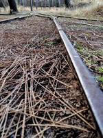 Eisenbahnkreuz im Wald foto