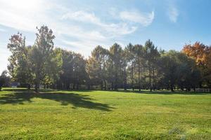 Herbst im Stadtpark, Bäume in gelbem Laub foto