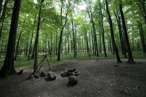 freies Lager bei Dolly Sods foto