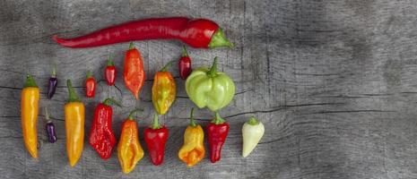 Holzhintergrund mit bunter Mischung aus Paprika in verschiedenen Formen foto