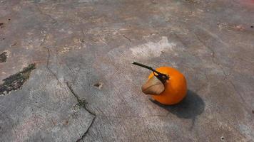 Mandarinen Zitrusfrüchte auf freiliegendem Zementuntergrund 04 foto