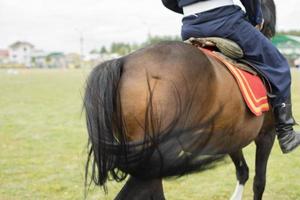 Reiter reitet Pferd. Mann aus der Kosakenbruderschaft. foto