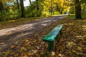 leere grüne Holzbank im herbstlichen Park mit gelben Ahornbäumen und abgefallenen Blättern foto