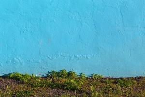 blaue Putzwand und wildes Gras darunter foto