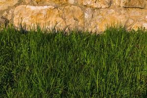 Kalksteinmauer und Gras darunter Hintergrund foto