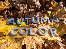 die Wörter Herbstfarbe mit Metallbuchstaben über gelben Herbstlaub gelegt - Nahaufnahme mit selektivem Fokus foto
