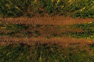 Traktorreifenspuren im Ton des Rapsfeldes, direkt über der Ultraweitwinkelansicht foto