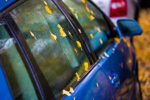 Nasse ultramarinblaue Autoseite mit Herbstlaub und selektivem Fokus foto