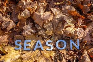 das Wort Saison mit Metallbuchstaben über gelbem Herbstlaub gelegt - Nahaufnahme mit selektivem Fokus foto