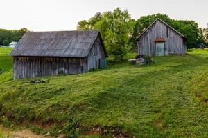 Alte Holzscheunen auf dem Hof mit gemähtem Rasen am Sommerabend foto