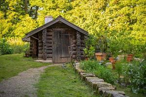 verschwommener Gartenhintergrund foto