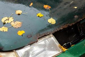 Alte nasse und verrostete Motorhaube mit Scheinwerfer unter herbstlichen Birkenblättern foto