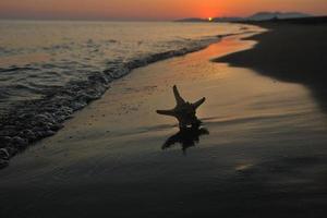 sommerstrand sonnenuntergang mit stern am strand foto