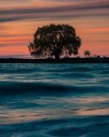 Silhouette eines Baumes am Ufer foto