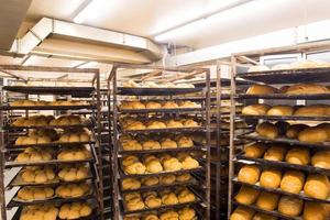 Brotbäckerei Lebensmittel Fabrikproduktion mit frischen Produkten foto