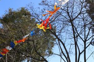 Flagge in einem Stadtpark an der Mittelmeerküste in Israel. foto