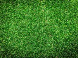 Natur grünes Gras Textur Hintergrund für Design. Öko-Konzept. foto