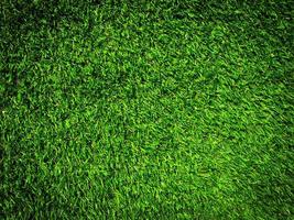 Natur grünes Gras Textur Hintergrund für Design. Öko-Konzept. foto