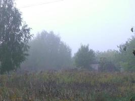 Herbstmorgennebel im Dorf foto