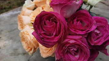 Details aus rosa und orangefarbenen Rosen zur Dekoration 02 foto