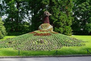 Blumenkomposition auf der Insel Mainau foto