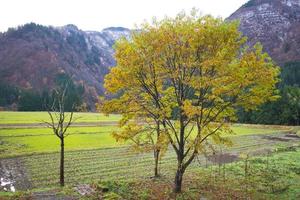 Gokayama, Japan, reich an natürlichen Ressourcen, Kultur und Erbe foto