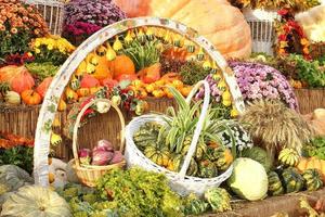 Bunte Bio-Kürbisse und Kürbisse auf der Landwirtschaftsmesse. Ernten des Herbstzeitkonzepts. Garten Herbst natürliche Pflanze. Thanksgiving-Halloween-Dekor. festlicher bauernhof ländlicher hintergrund. vegetarisches Essen foto