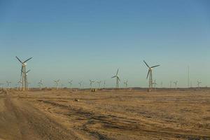 Blick auf den Windpark foto