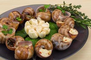 Schnecken auf Teller foto