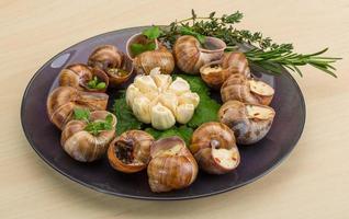 Schnecken auf Teller foto