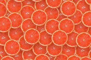 Muster aus roten Grapefruit-Zitrusscheiben. Zitrus flach liegen foto