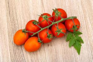 Tomaten verzweigen sich auf Holz foto