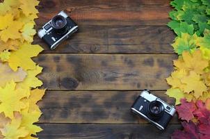 Zwei alte Kameras inmitten einer Reihe von vergilbten gefallenen Herbstblättern auf einer Hintergrundfläche aus natürlichen Holzbrettern von dunkelbrauner Farbe foto