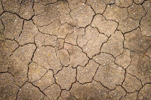 hintergrund der textur rissiger trockener boden, konzept der ökologie und des klimawandels. foto