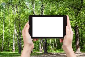 Naturforscher fotografiert Eichen und Birken im Wald foto