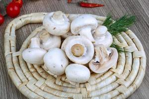 Champignons auf Holz foto