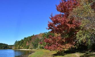 herrliche Aussicht auf den malerischen See mit Herbstlaub foto