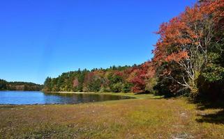 hübsches Herbstlaub mit Blättern, die sich an einem See drehen foto
