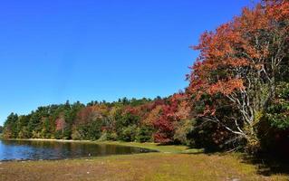 Blätter im Herbst drehen sich um einen See in Neuengland foto