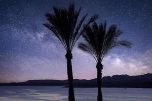 Nachtlandschaft, Palmen, das Rote Meer vor dem Hintergrund des Nachthimmels mit Sternen und der Milchstraße. Sinai Halbinsel. foto