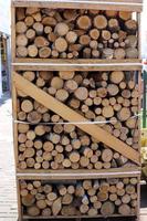 Brennholz für den Winter vorbereitet. foto