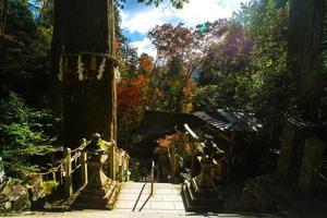 kurama, präfektur kyoto, kansai, japan - 21. november 2019 - touristen besuchen yuki-jinja, einen berühmten shinto-schrein auf dem gelände des kurama-tempels, einem tempel am fuße des berges kurama foto