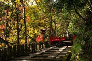 herbstszene von kurama-dera, einem tempel am fuße des berges kurama im äußersten norden der präfektur kyoto, kansai, japan foto