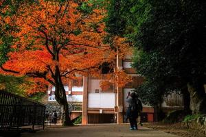 kurama, präfektur kyoto, kansai, japan - 21. november 2019 - touristen besuchen die herbstszene von kurama-dera, einem tempel am fuße des berges kurama im äußersten norden von kyoto foto