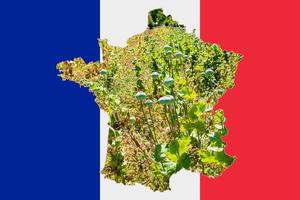 Übersichtskarte von Frankreich mit dem Bild der Nationalflagge. Bild des Mohnkolbens innerhalb der Karte. Collage. Frankreich ist ein bedeutender Mohnproduzent. foto