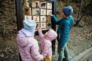 Kinder lernen Vögel im Holzschreibtisch im Zoo. foto