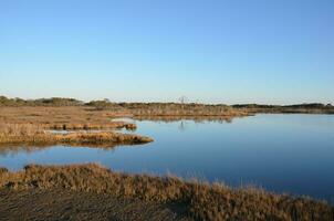 ein See oder Fluss mit braunen Gräsern und Ufer foto