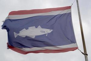 Flagge im Wind mit Fischbild foto