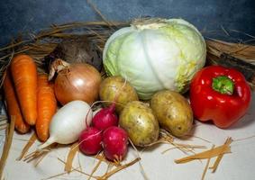 Stillleben mit Gemüse. gesundes Essen. Ernte aus dem Garten. Borschtsch-Set. Wurzelgemüse auf dem Tisch ernten foto