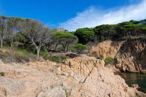 Küste mit Felsen und blauem Meer voller Bäume, die fast bis zum Meer reichen. foto